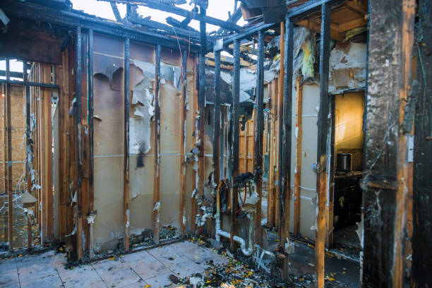 Professional Fire Damage Removal technician working in Alto, TX